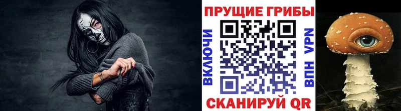 Псилоцибиновые грибы Cubensis  сколько стоит  Светлоград 